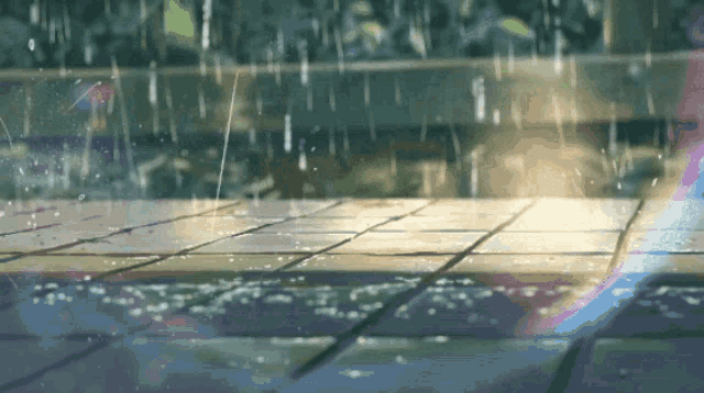 Rain Drops Rain GIF