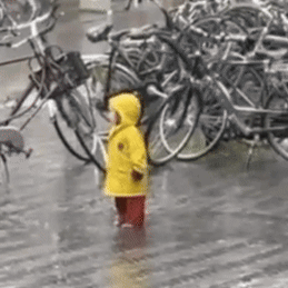 Rain Lazy GIF
