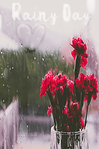 Rain Pluie GIF