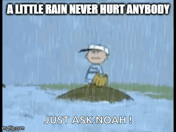 Rain Rainy Day GIF