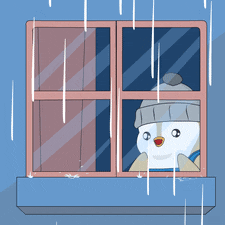 Rain Rainy GIF