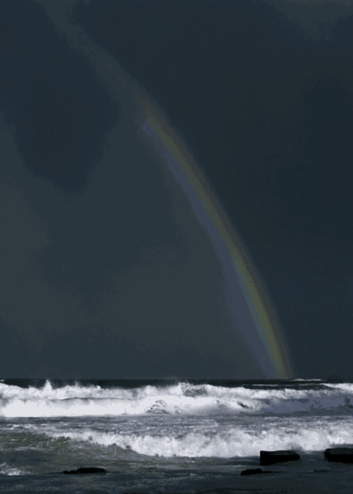 Rainbow Meets Ocean GIF