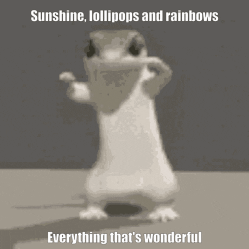 Rainbows Everything Is Wonderful GIF