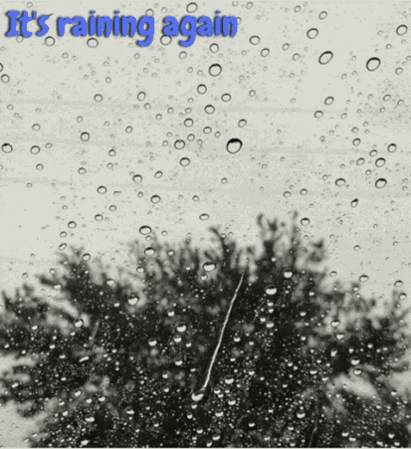 Raining Again Rain On Window GIF