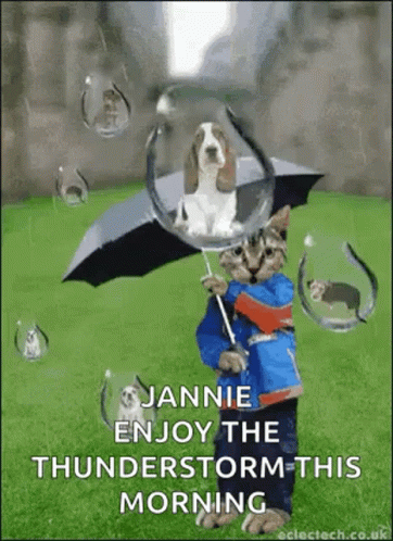 Raining Cats And Dogs GIF. This 362 x 498 animated GIF is part of our lustige montags collection. Related themes include kitten. Created by…