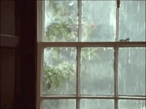 Raining Its Raining GIF