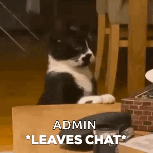 Rainkitty Leaves GIF