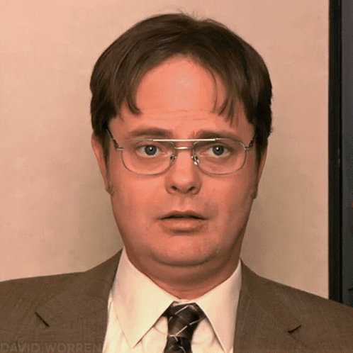 Rainn Wilson GIF