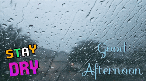 Rainy Day GIF