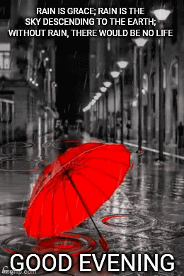 Rainy Night GIF. This 260 x 390 animated GIF is part of our immagini buona serata collection. Created by sobronxjourno. View the original animation, share…