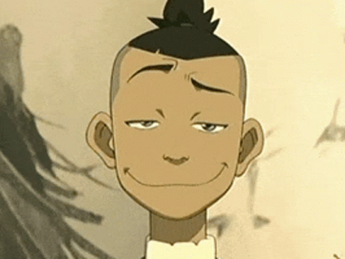 Raise Eyebrows Sokka GIF