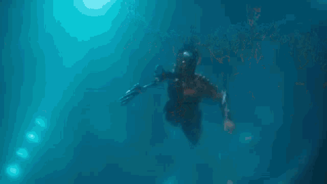 Rakenrola Shrimp GIF