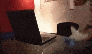 Rallo Juan Ramon Rallo GIF