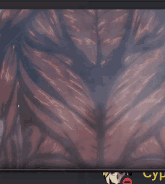 Ramzii Aot GIF