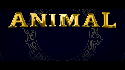 Ranbir Kapoor Animal Film GIF