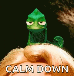 Rapunzel Settle GIF