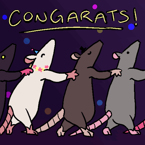 Rat Conga GIF