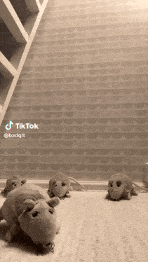 Rat Dance GIF
