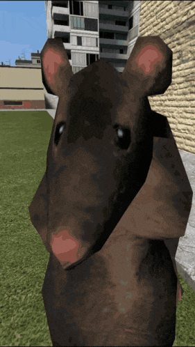 Rat Dance GIF