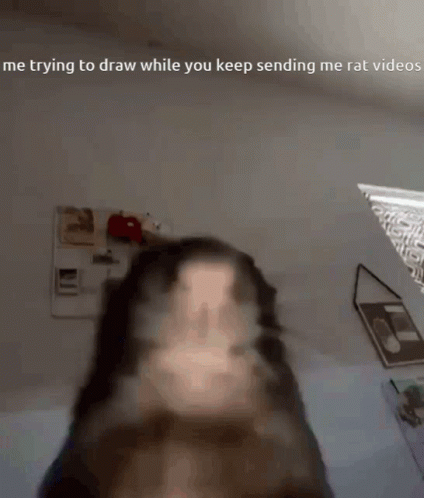 Rat Drawing Yes Rats GIF