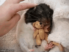 Rat Hugging Plushie GIF