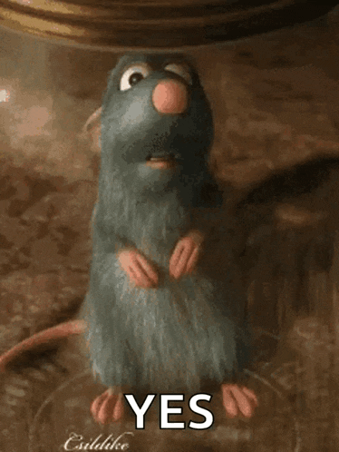 Rat I Dont Know GIF