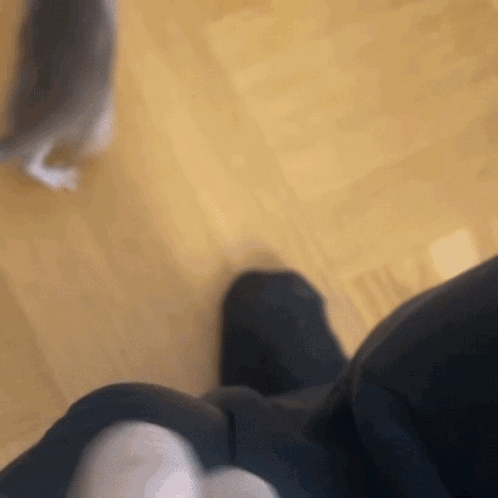 Rat Rats GIF