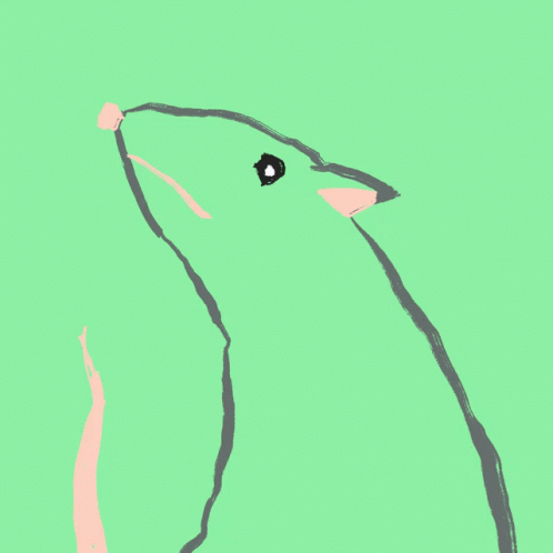 Rat Rave GIF