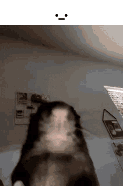 Rat Stare GIF
