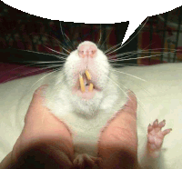 Rat Teeth Sticker