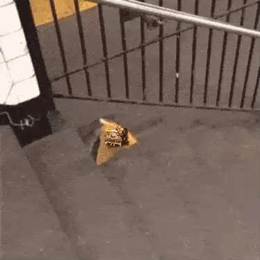 Rat GIF. This 374 x 374 animated GIF is part of our pizza rat collection. Related themes include rat. Created by rattyblue. View the original animation…