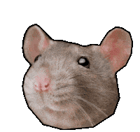 Rataldo Raton Sticker