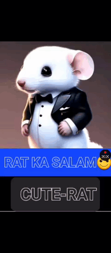 Ratcu GIF