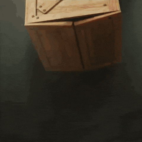 Ratguy Chicken GIF