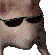 Ratjam Like A Boss Sticker