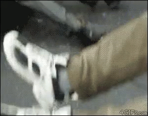 Rats Animals GIF