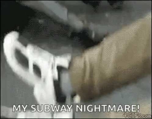 Rats Animals GIF
