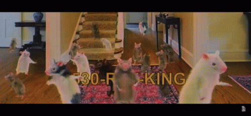 Rats Dance GIF