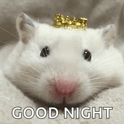 Rats Queenrat GIF