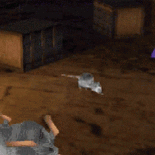 Rats We Are The Rats GIF