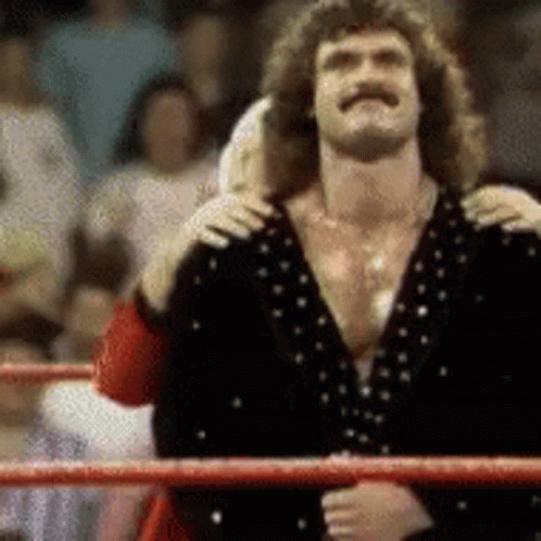 Ravishing Rick Rude GIF