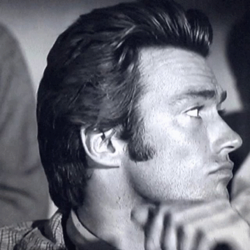 Rawhide Clint GIF