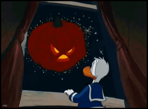 Rawwrr! GIF