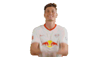Rbl Rb Leipzig Sticker