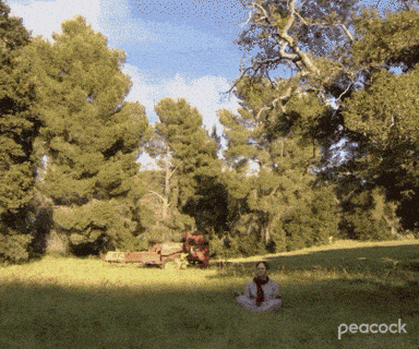 Reaction GIF