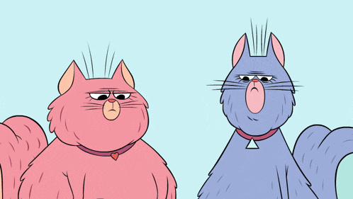 Reaction Cat GIF