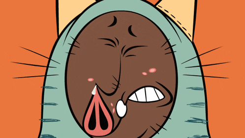 Reaction Cat GIF