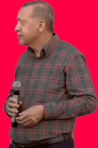 Reaction Shocked GIF