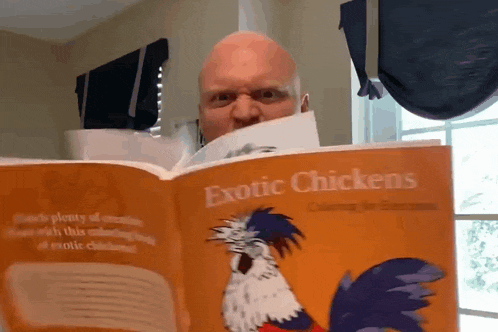 Reading Books Aggressive GIF