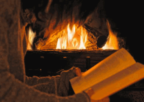 Reading By The Fire Flame GIF